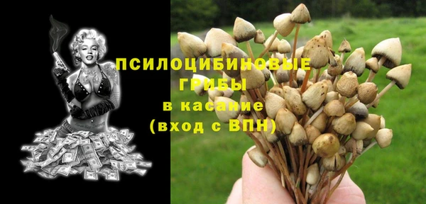 PSILOCYBIN Аркадак